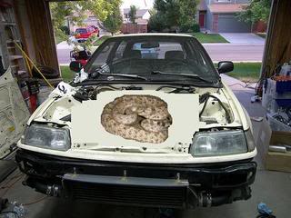 Name:  2684753032_cea9ed4157.jpg
Views: 258
Size:  18.7 KB
