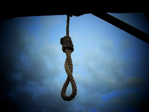 Name: noose2.jpg
Views: 37
Size: 18.8 KB
