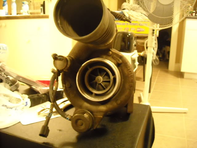 Name: DSCN1650.jpg
Views: 3766
Size: 79.0 KB