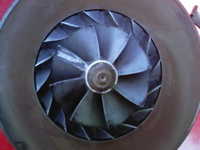 Name: PHOT0058.jpg
Views: 81
Size: 33.0 KB