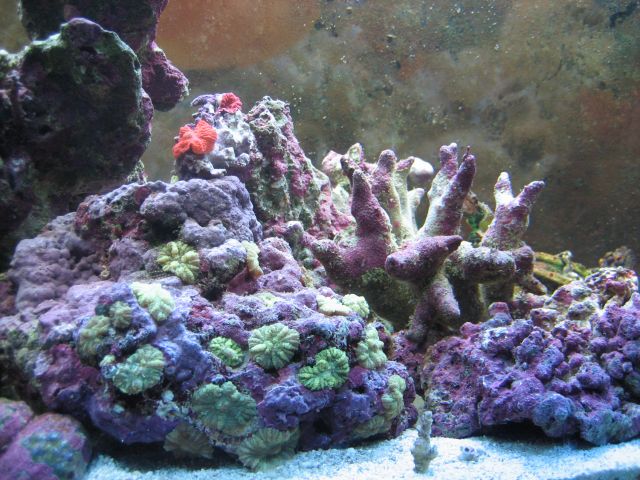 Name:  IMG_2349.jpg
Views: 21
Size:  73.2 KB
