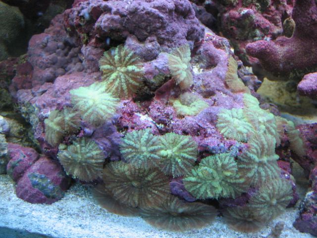 Name:  IMG_2582_1.jpg
Views: 23
Size:  67.7 KB