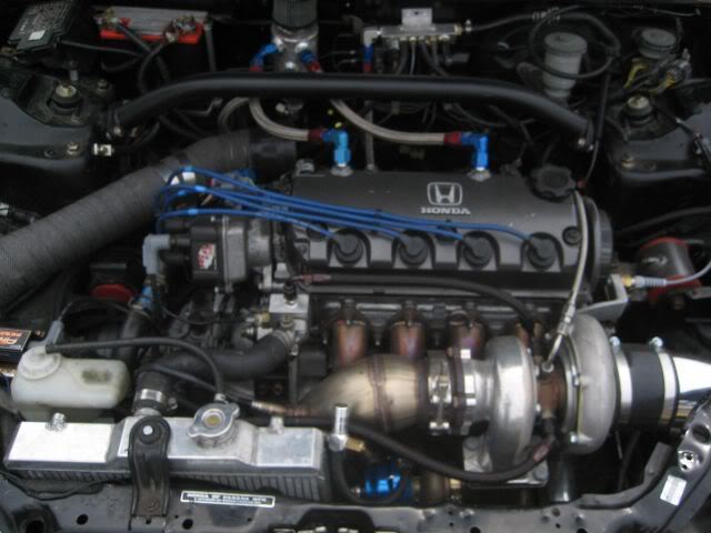 Name: IMG_5503.jpg
Views: 18
Size: 43.1 KB