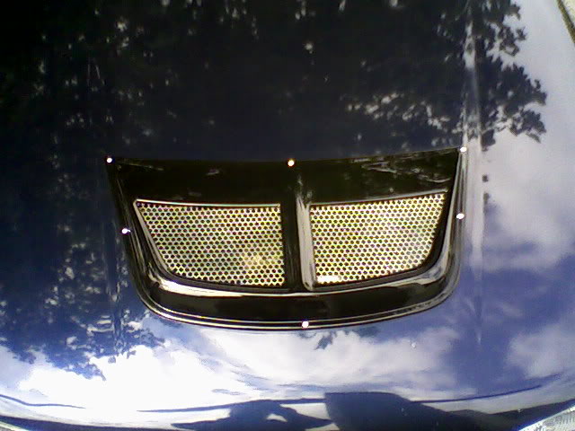 Name:  Photo-0061.jpg
Views: 1303
Size:  53.6 KB