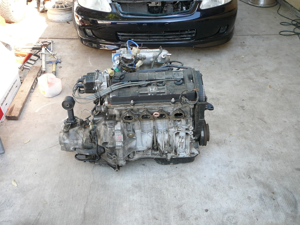 Name:  P1050575.jpg
Views: 69
Size:  168.5 KB