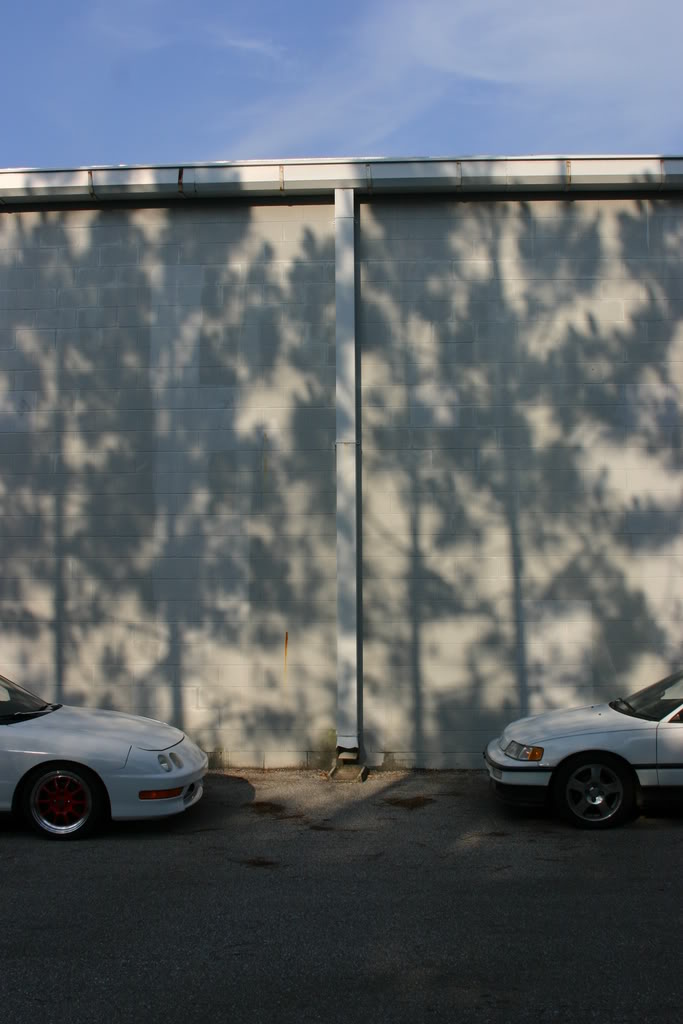 Name:  IMG_8561.jpg
Views: 85
Size:  77.0 KB