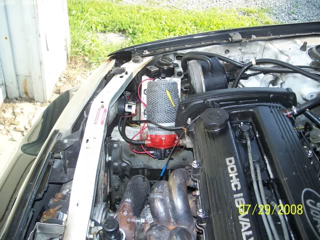 Name:  100_0293.jpg
Views: 294
Size:  98.3 KB