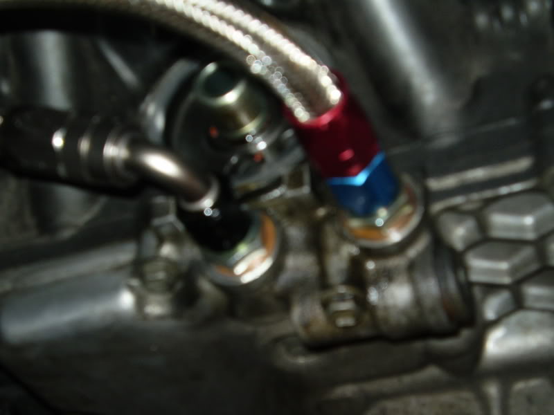 Name:  P5010131.jpg
Views: 1742
Size:  40.9 KB