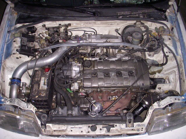 Name:  DSCN1322.jpg
Views: 14
Size:  76.6 KB