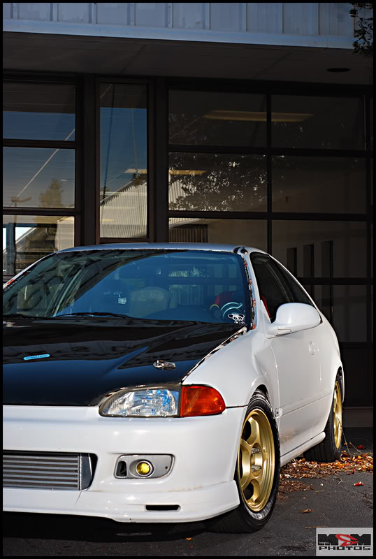 Name: DSC_0053.jpg
Views: 74
Size: 80.5 KB