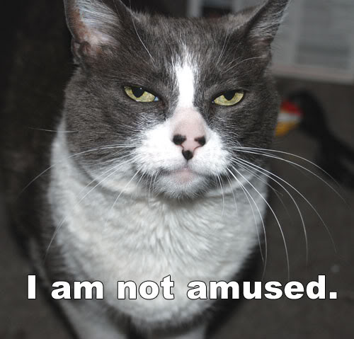Name: robinamused.jpg
Views: 31
Size: 45.8 KB