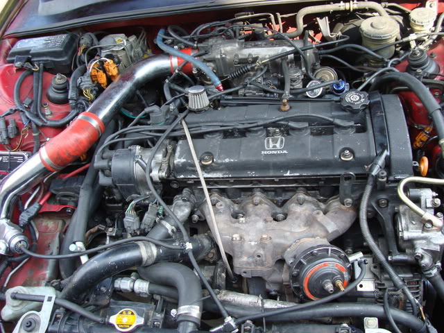 Name:  enginebay2.jpg
Views: 503
Size:  107.0 KB