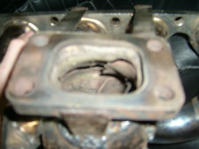 Name:  S4200998.jpg
Views: 39
Size:  27.1 KB