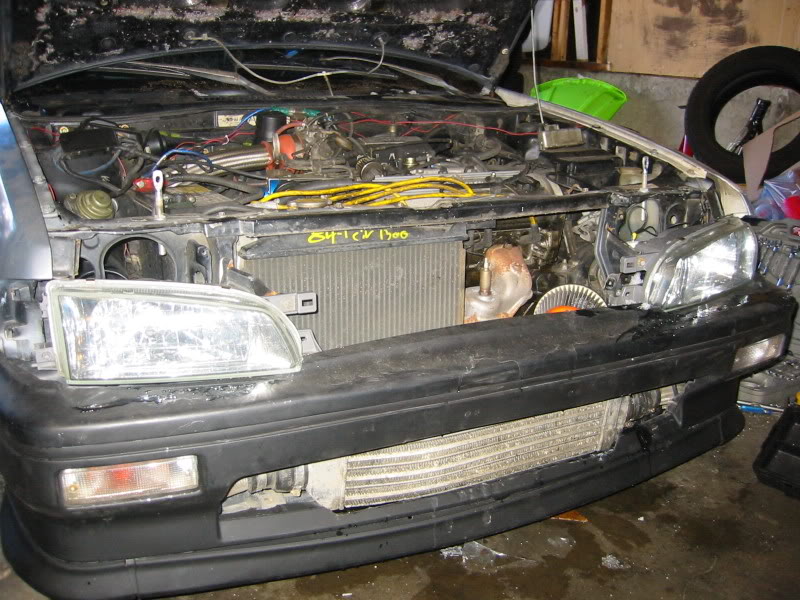 Name: Buuterz001.jpg
Views: 269
Size: 116.4 KB