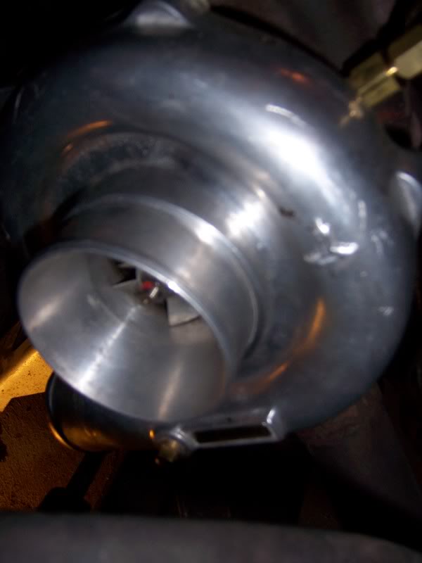 Name: turboneon012.jpg
Views: 32
Size: 36.7 KB