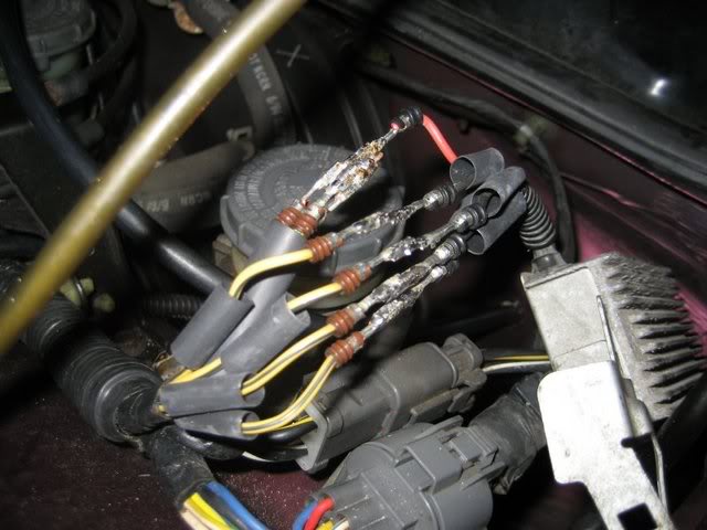 Name:  IMG_0831sm.jpg
Views: 156
Size:  47.2 KB