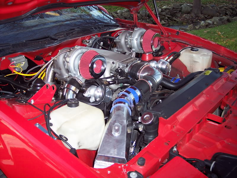 Name:  100_4319.jpg
Views: 240
Size:  122.8 KB