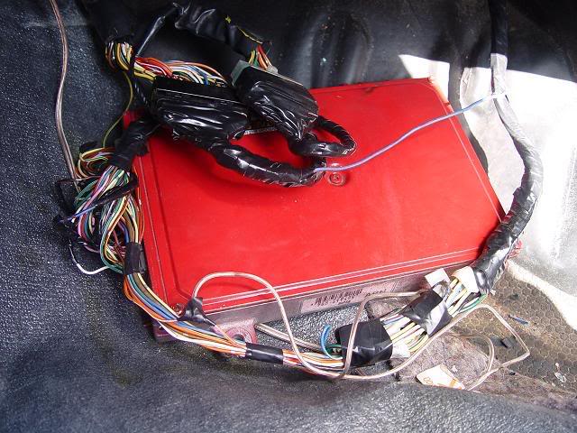 Name: homemadejumpingharness.jpg
Views: 58
Size: 72.1 KB