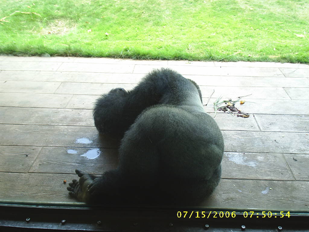 Name: veespicturescarsboston066.jpg
Views: 243
Size: 110.1 KB