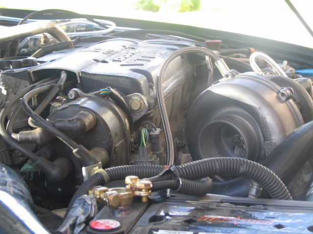 Name: IMG_1082.jpg
Views: 32
Size: 58.5 KB