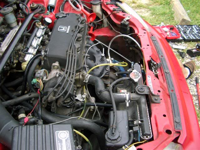 Name: CIMG4082Small.jpg
Views: 13
Size: 64.1 KB