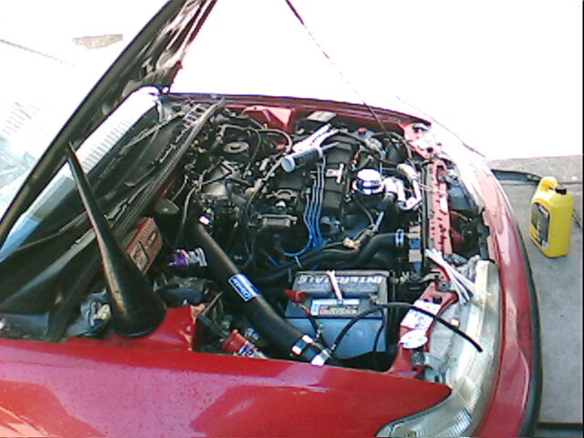 Name: IMG010.jpg
Views: 63
Size: 55.6 KB