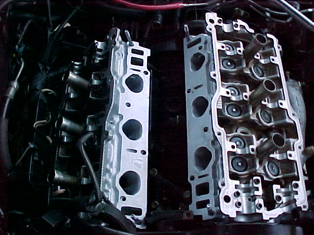 Name:  HeadsV3-2.jpg
Views: 361
Size:  66.9 KB