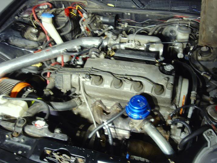 Name:  PDRM0065.jpg
Views: 15
Size:  74.6 KB