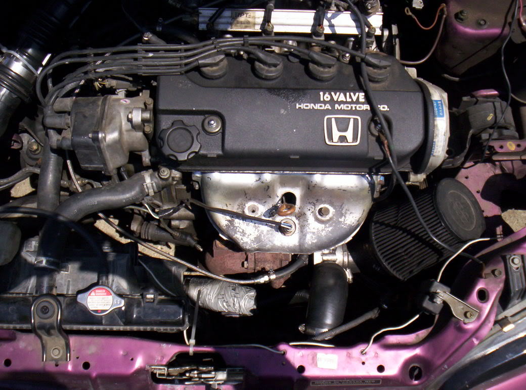 Name: 100_1018.jpg
Views: 76
Size: 137.6 KB