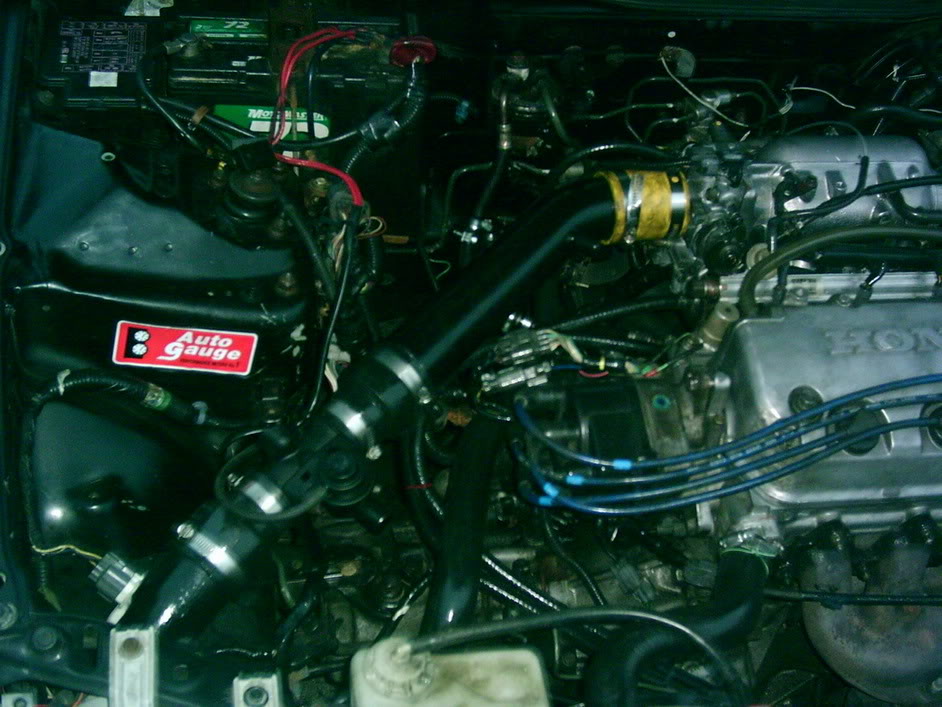 Name: PHTO0003.jpg
Views: 26
Size: 119.4 KB