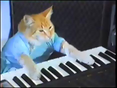 Name:  keyboard-cat.jpg
Views: 20
Size:  18.5 KB