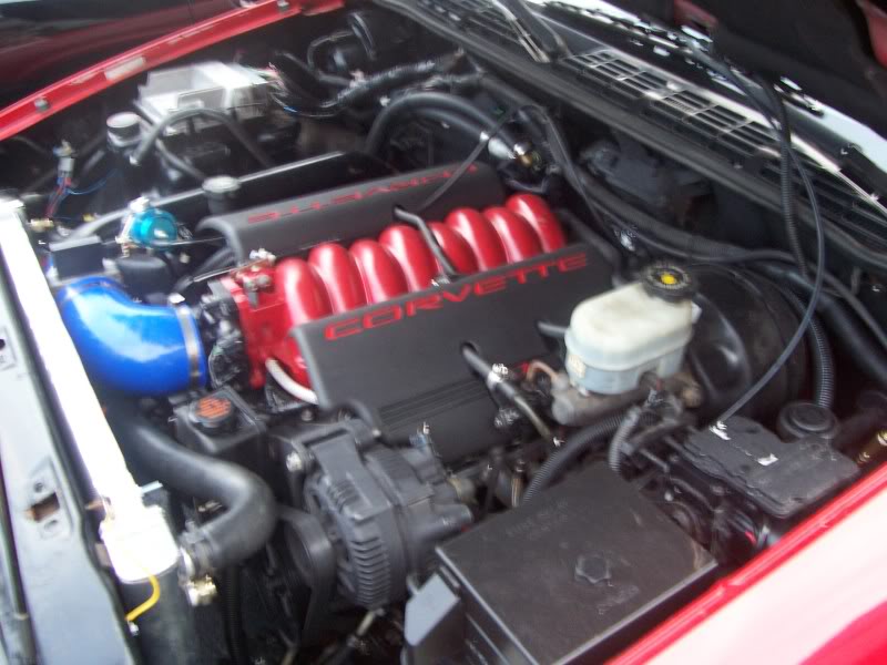 Name: 100_2117.jpg
Views: 559
Size: 74.0 KB