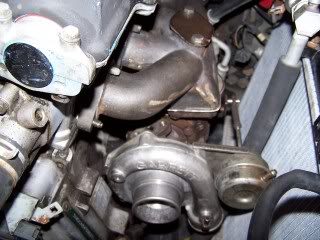 Name: 4-9-09007.jpg
Views: 139
Size: 23.7 KB