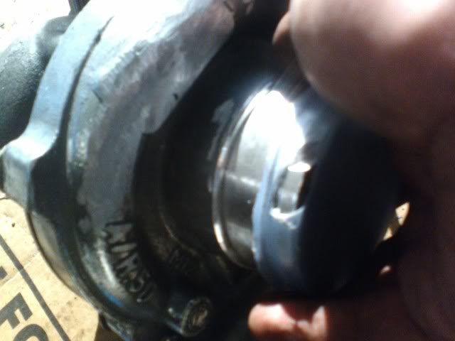 Name: pic030209_3.jpg
Views: 23
Size: 27.9 KB