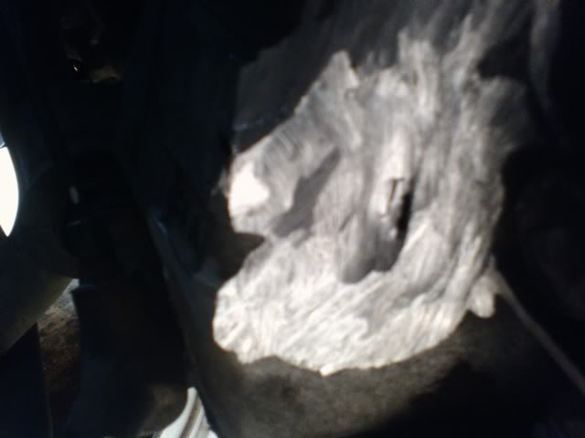 Name: pic030209_1.jpg
Views: 21
Size: 21.3 KB
