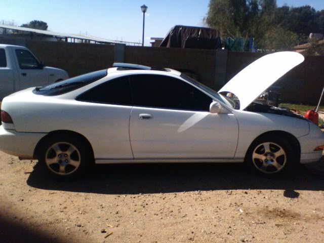 Name: pic021209_11.jpg
Views: 75
Size: 48.2 KB