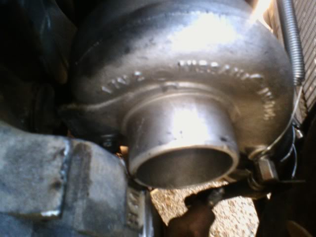 Name: pic021309_6.jpg
Views: 75
Size: 30.6 KB