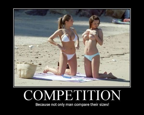 Name:  competition.jpg
Views: 6
Size:  38.3 KB