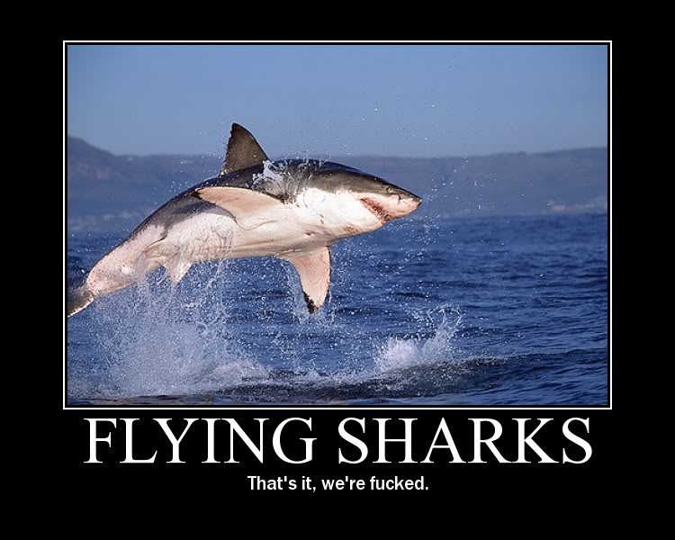 Name:  flying_shark.jpg
Views: 9
Size:  75.8 KB