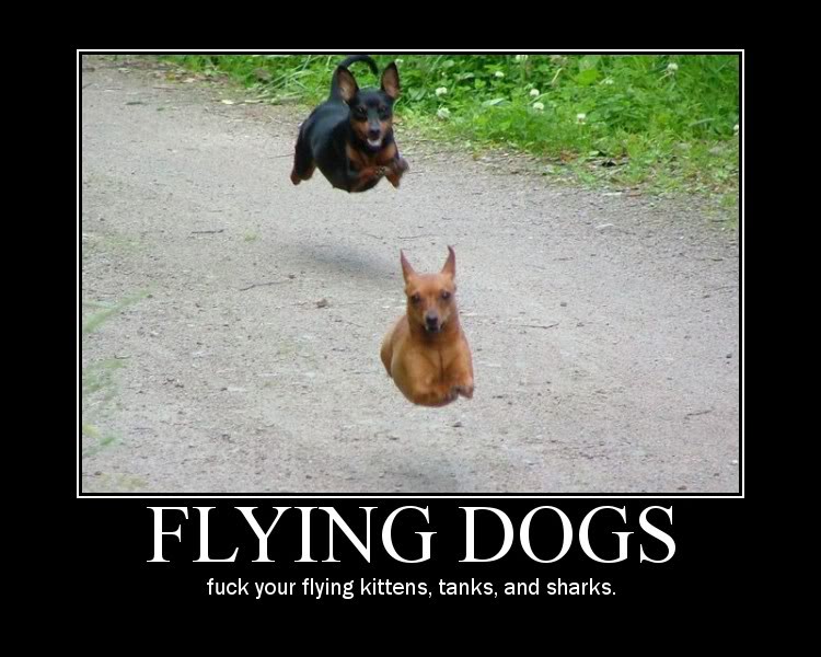 Name:  flying_dogs.jpg
Views: 10
Size:  79.9 KB