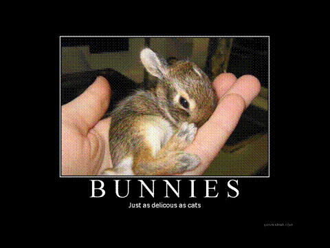 Name:  bunnies.jpg
Views: 30
Size:  169.8 KB