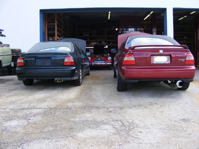 Name:  babies2.jpg
Views: 533
Size:  77.0 KB