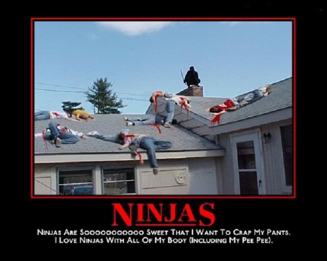 Name:  ninja-48.jpg
Views: 2
Size:  35.0 KB