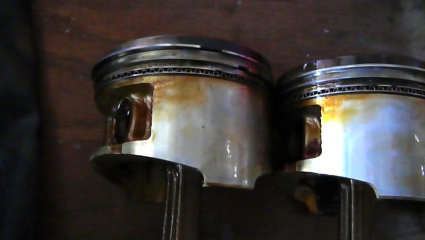 Name: P1050600.jpg
Views: 525
Size: 36.4 KB