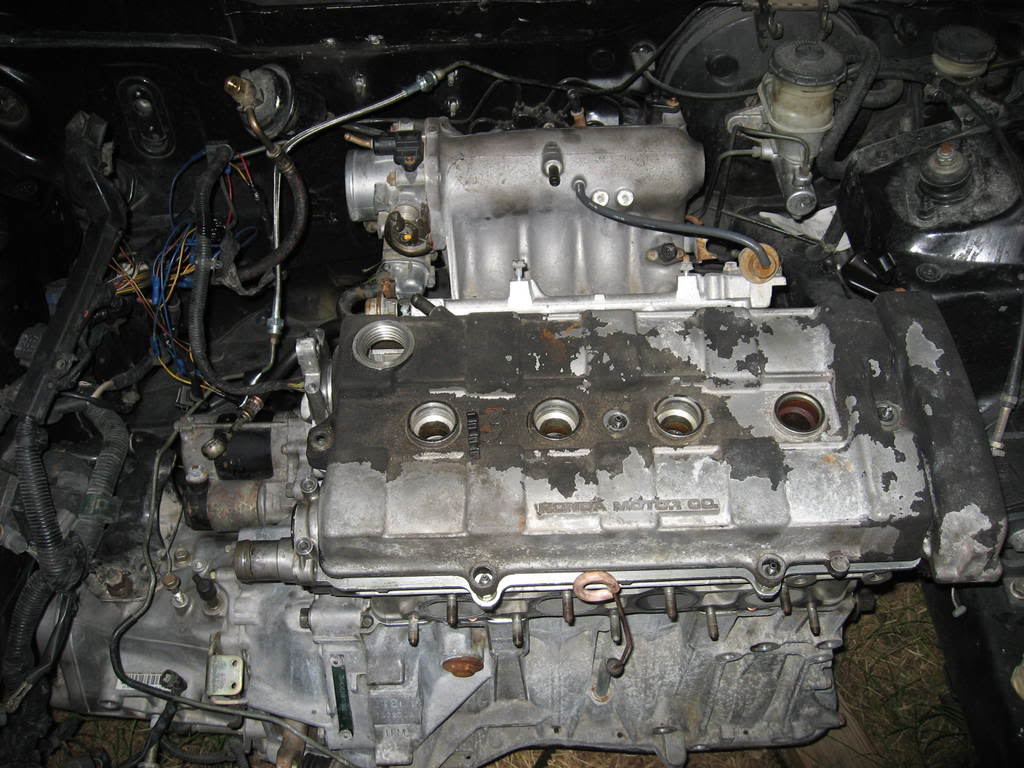 Name:  IMG_6405.jpg
Views: 18
Size:  121.2 KB