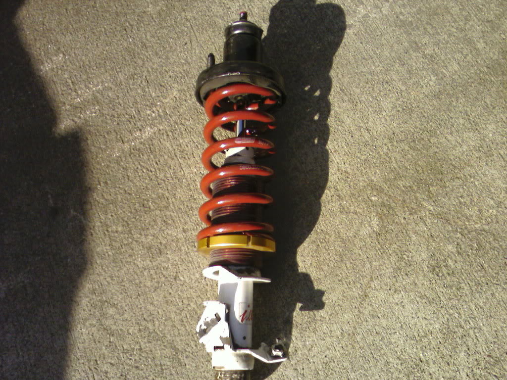 Name:  Shock-2.jpg
Views: 17
Size:  174.4 KB