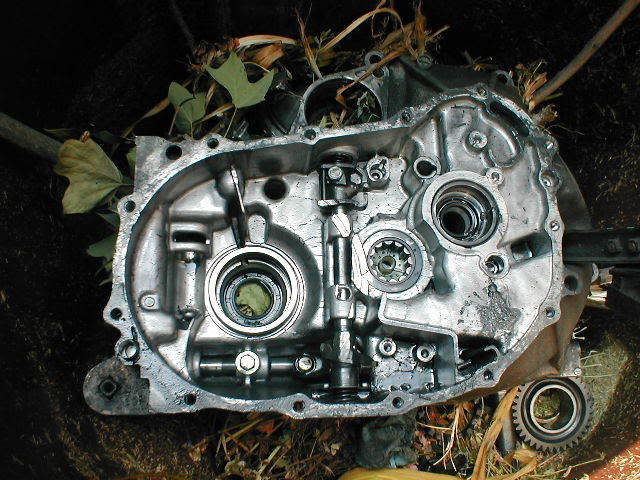 Name: junk1.jpg
Views: 22
Size: 77.3 KB