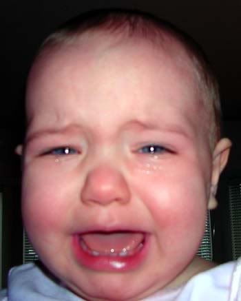 Name:  crying.jpg
Views: 16
Size:  15.5 KB