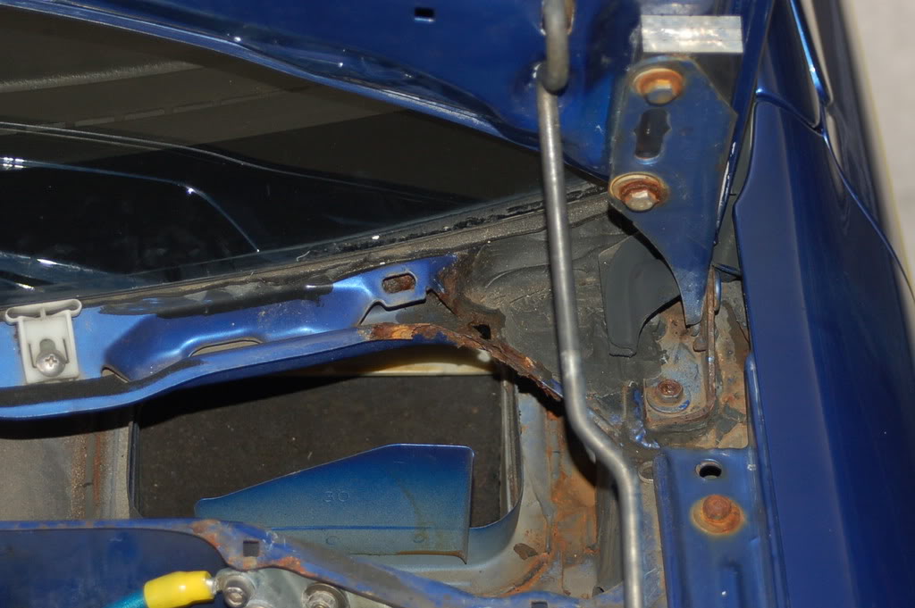 Name: rust001.jpg
Views: 64
Size: 120.0 KB