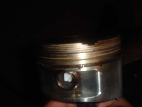 Name:  jereallyupclose.jpg
Views: 21
Size:  15.2 KB